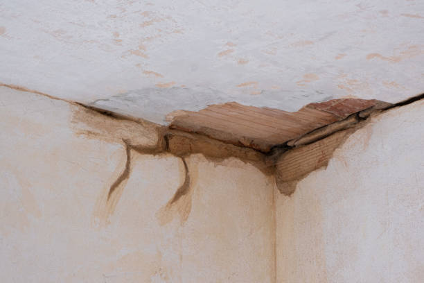 Best Water damage restoration near me  in Chittenango, NY