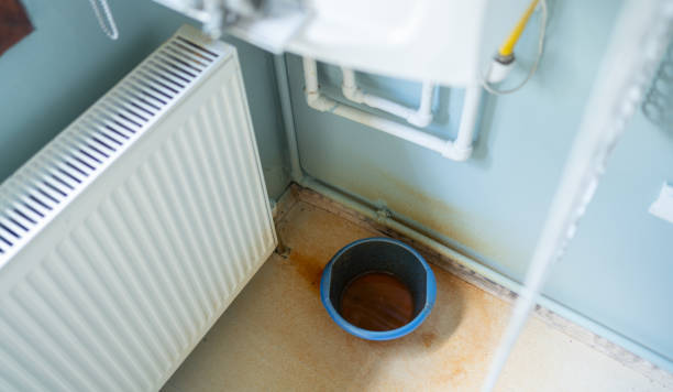 Best Mold removal after water damage  in Chittenango, NY
