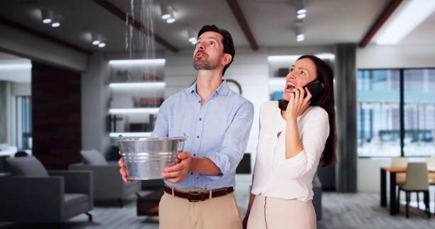 Best Fire Damage Restoration  in Chittenango, NY